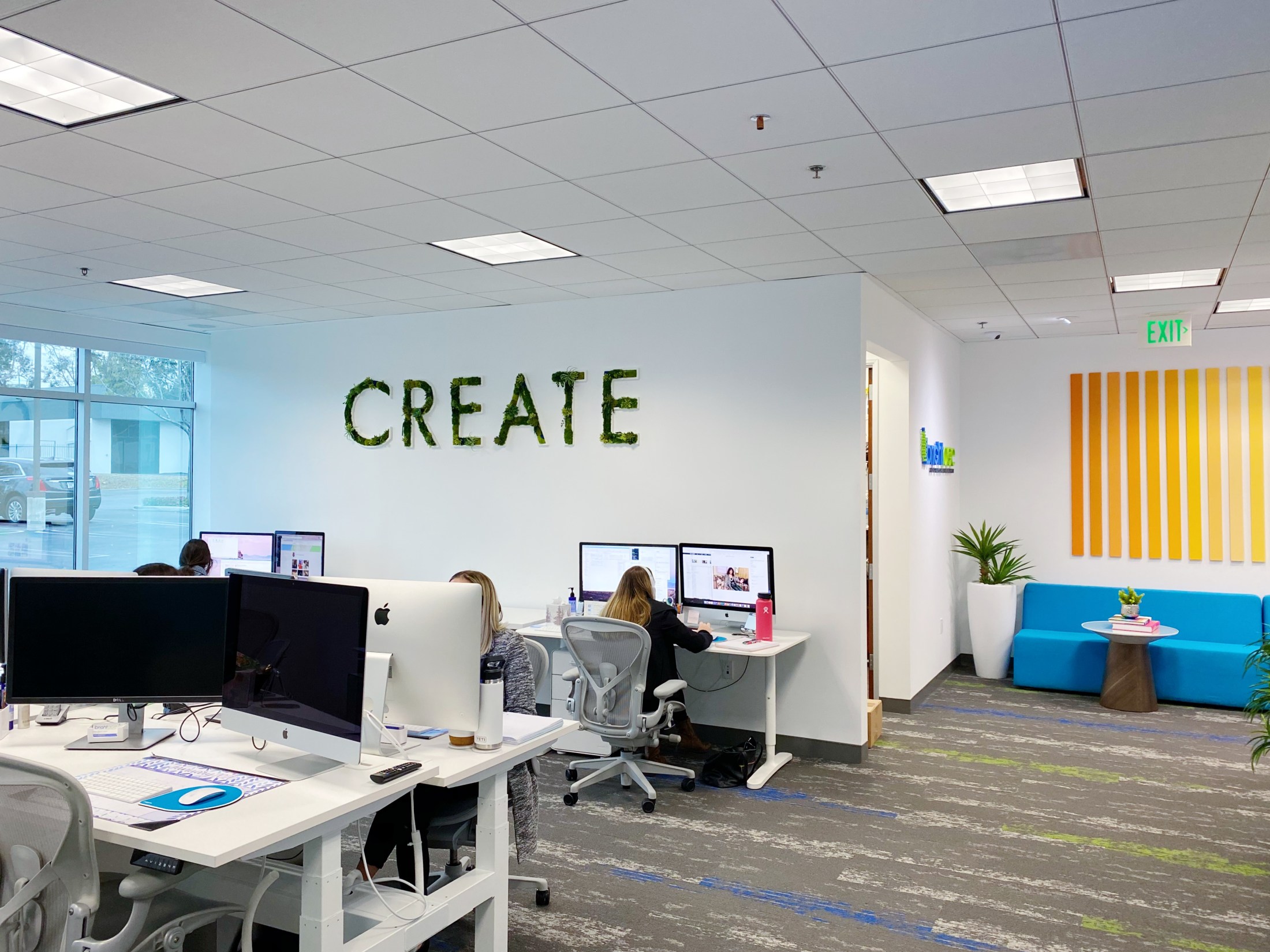 Graphic Design Product Design side view of succulent wall art at Bright Age