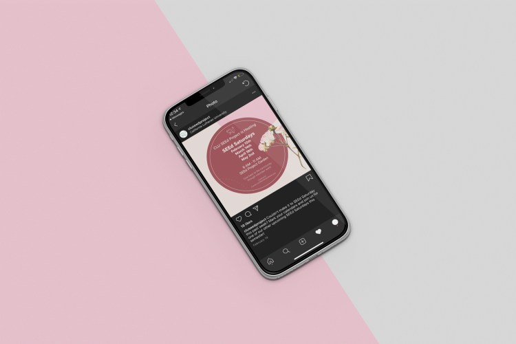 Graphic social media design mockup of SEEd Project Garden Instagram post