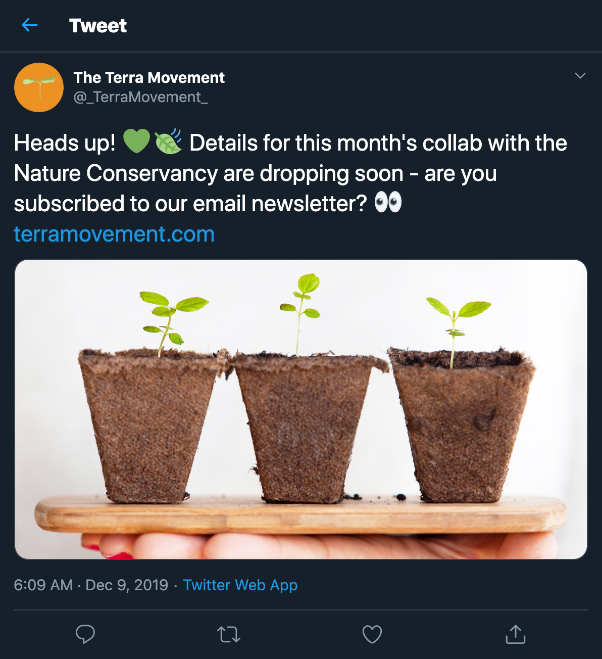 Screenshot of social media design marketing tweet Twitter profile The Terra Movement