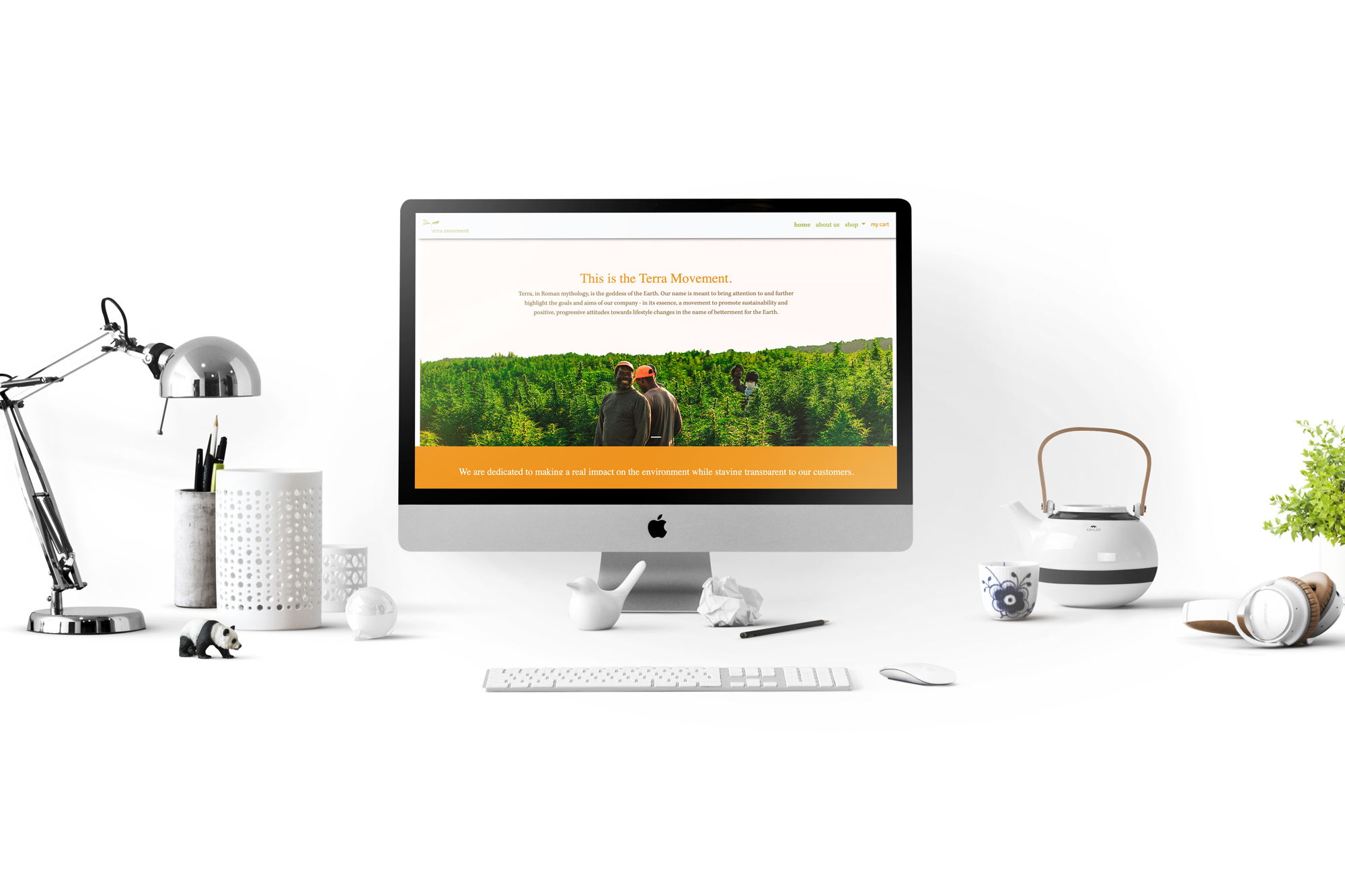 Graphic design web design website mockup of The Terra Movement